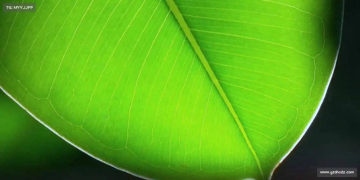 亚星游戏官网——跃动精彩，健康与你同行！🚴